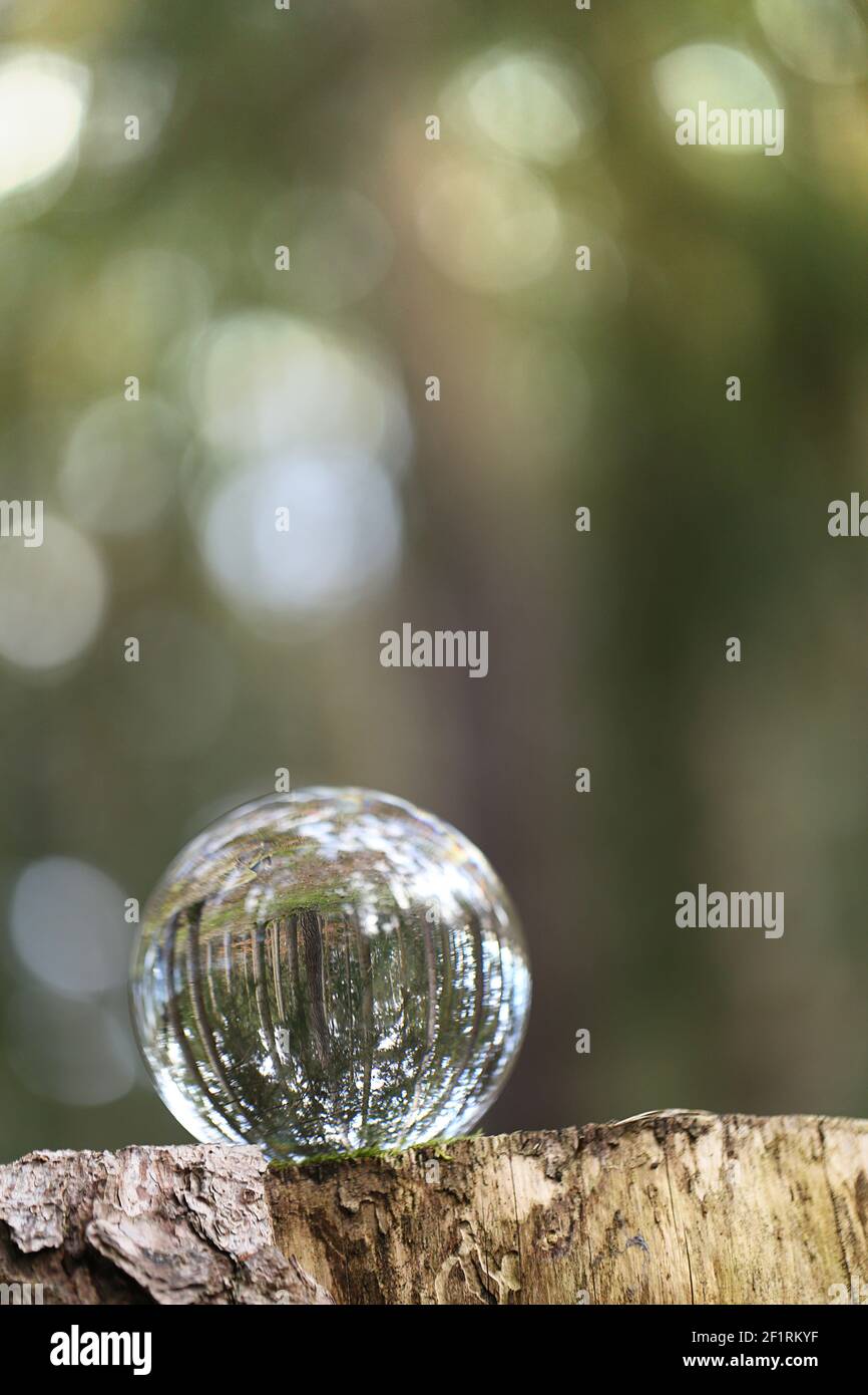 Earth day concept.Ecological concept.Glass ball with forest reflection in the forest. Environmental protection and nature conservation.Saving the Stock Photo