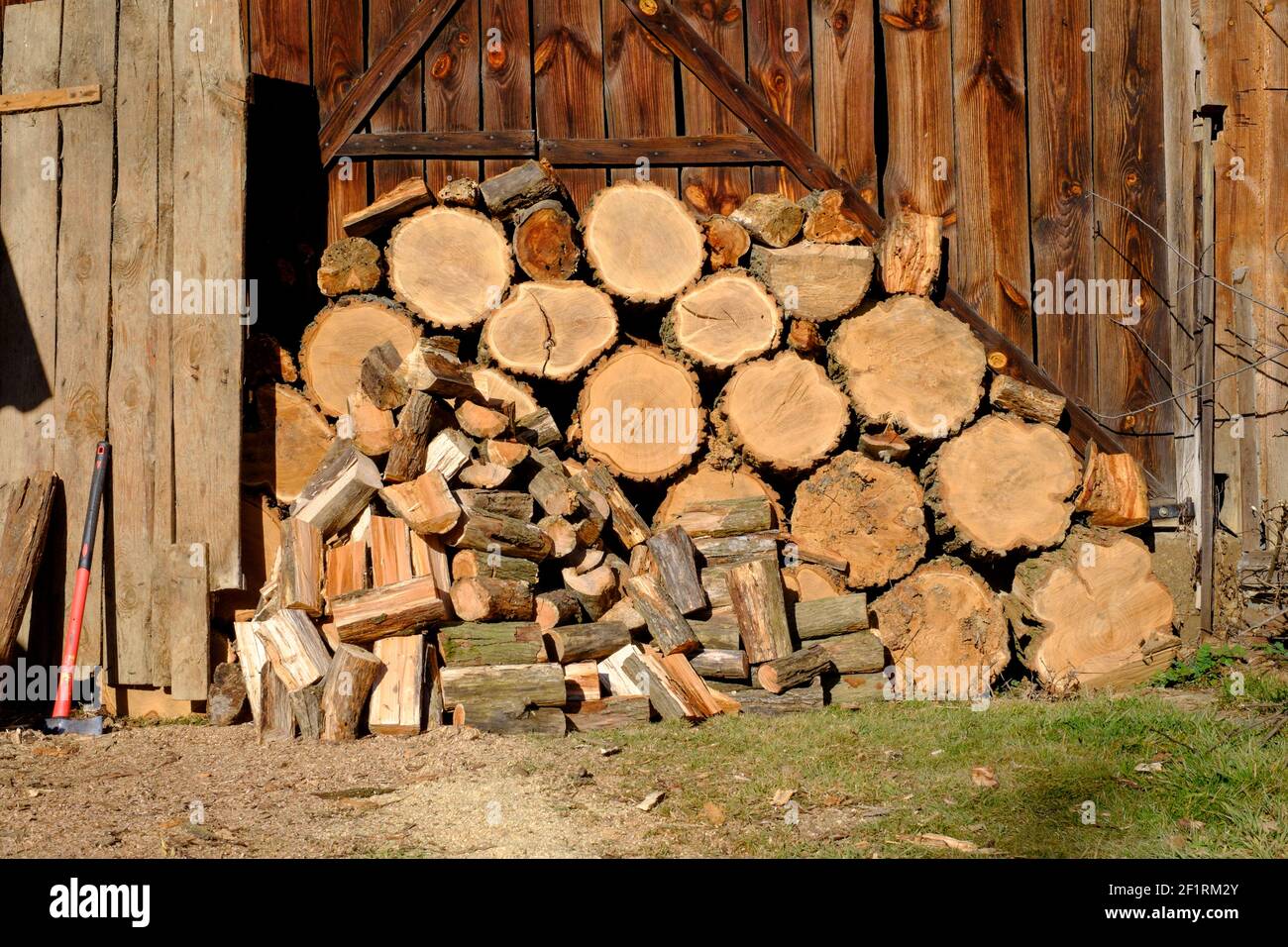 large stack of freshly cut tree rounds stacked against barn with husqvarna 445 chainsaw on top waiting for splitting with axe zala county hungary Stock Photo