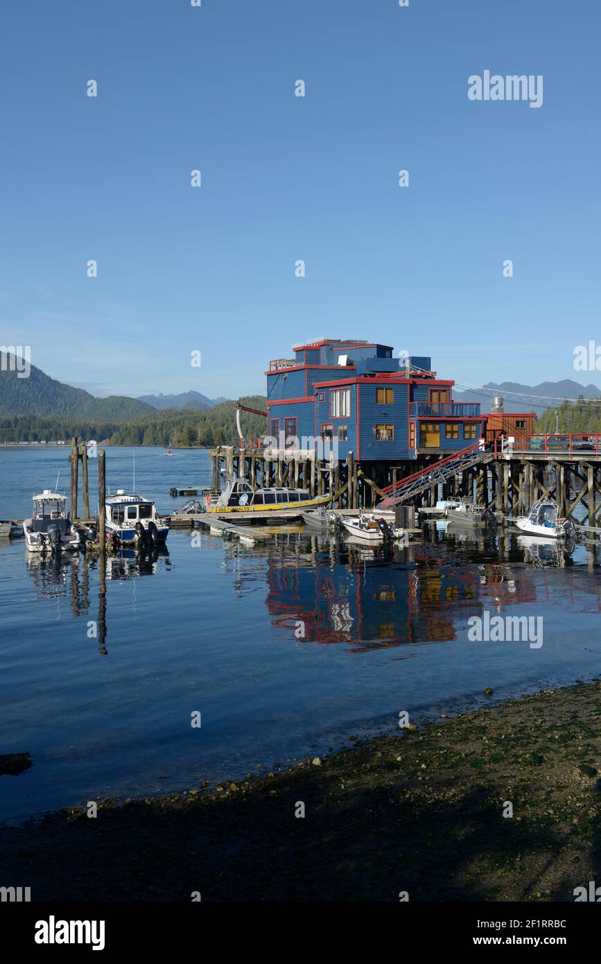 Fish processing plant canada hires stock photography and images Alamy