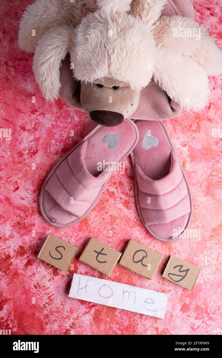 cozy home set with slippers and toy dog against pink background. concept  composition Stock Photo - Alamy