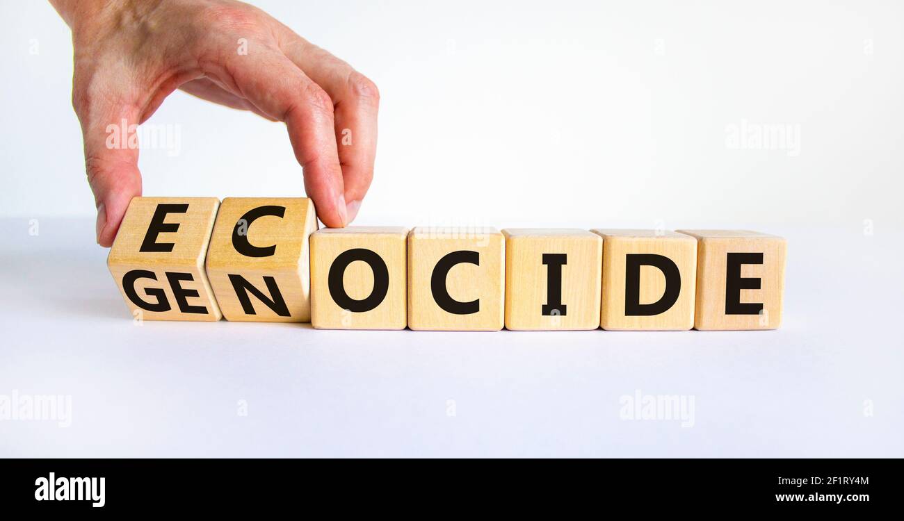 Ecocide or genocide symbol. Businessman turns cubes and changes the word genocide to ecocide. Beautiful white background, copy space. Business, ecolog Stock Photo