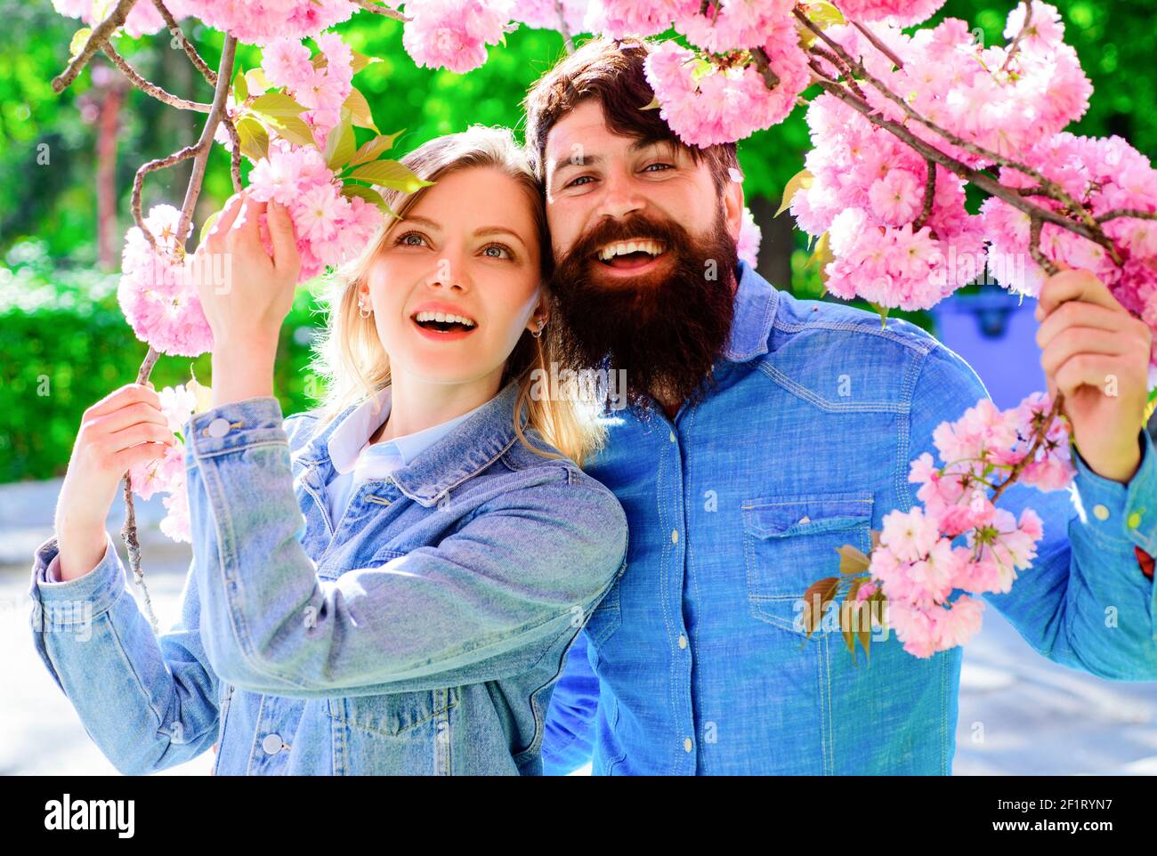 Happy Couple enjoying sakura blossom season. Family spend time in spring blooming garden. Stock Photo