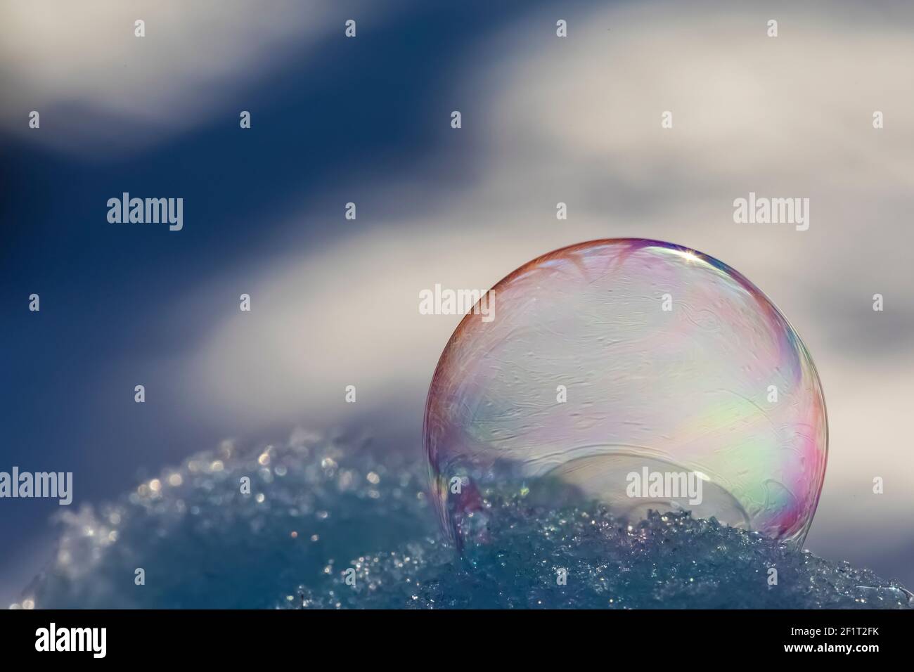 Bubbles, created in winter by the photographer, rapidly form ice crystals on the inside surfaces, Michigan, USA, Stock Photo