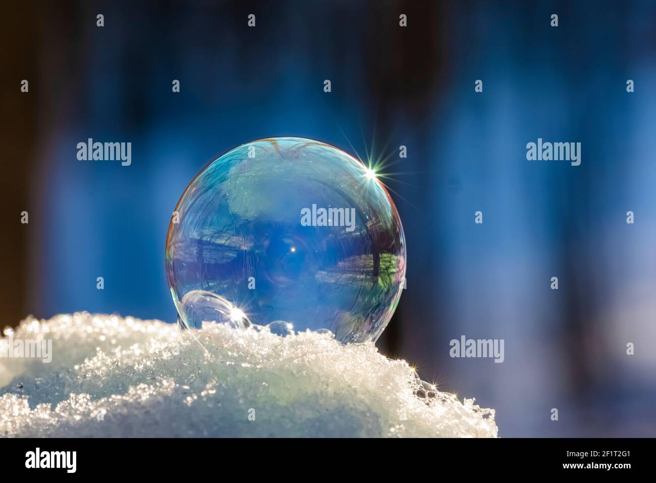 Bubbles, created in winter by the photographer, rapidly form ice crystals on the inside surfaces, Michigan, USA, Stock Photo