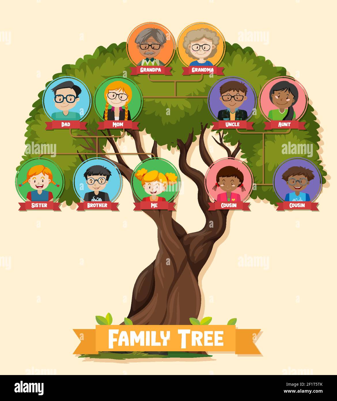 Diagram showing three generation family tree illustration Stock Vector  Image & Art - Alamy
