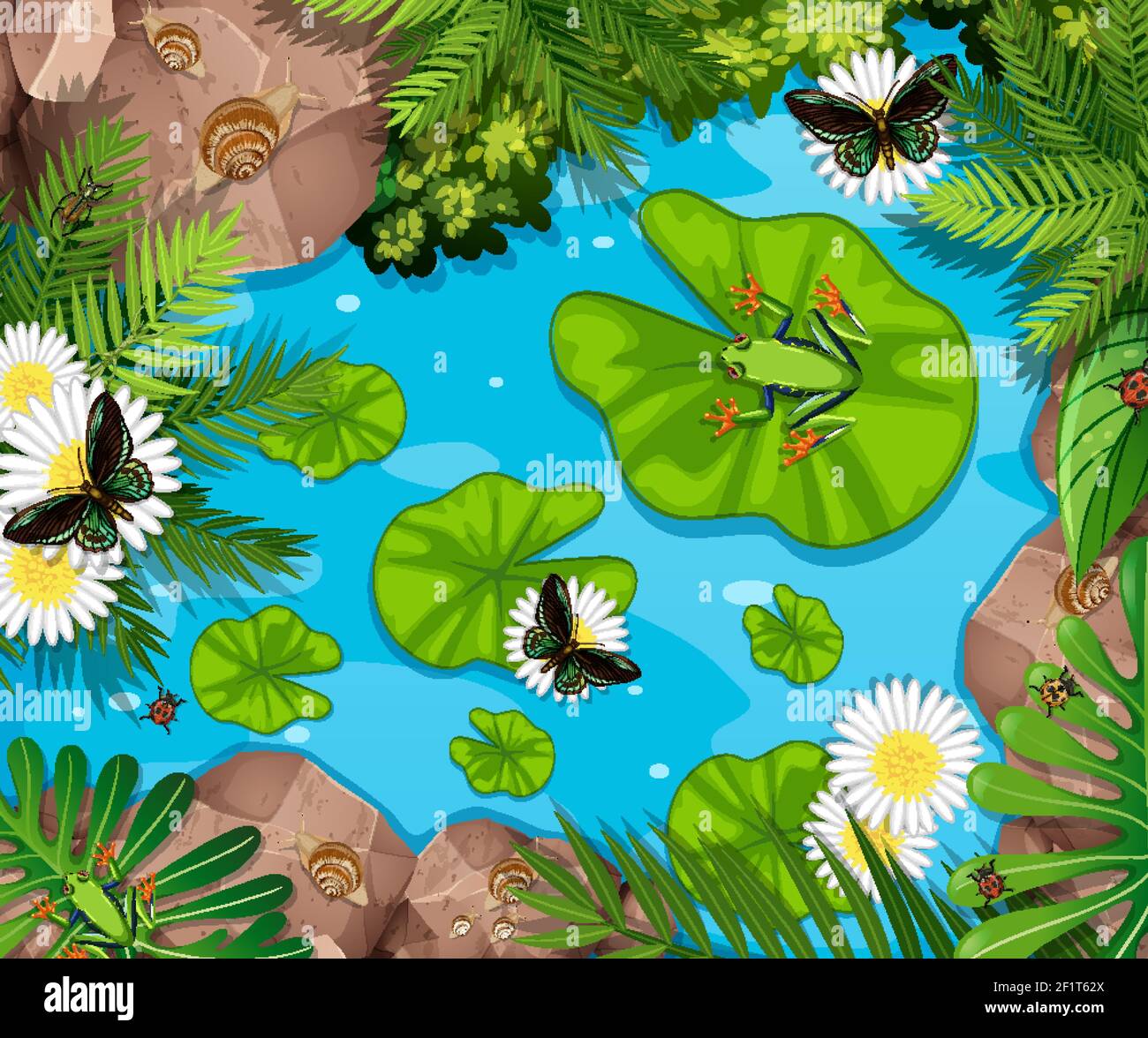 Aerial scene with frogs and lotus leaves in the pond illustration Stock ...