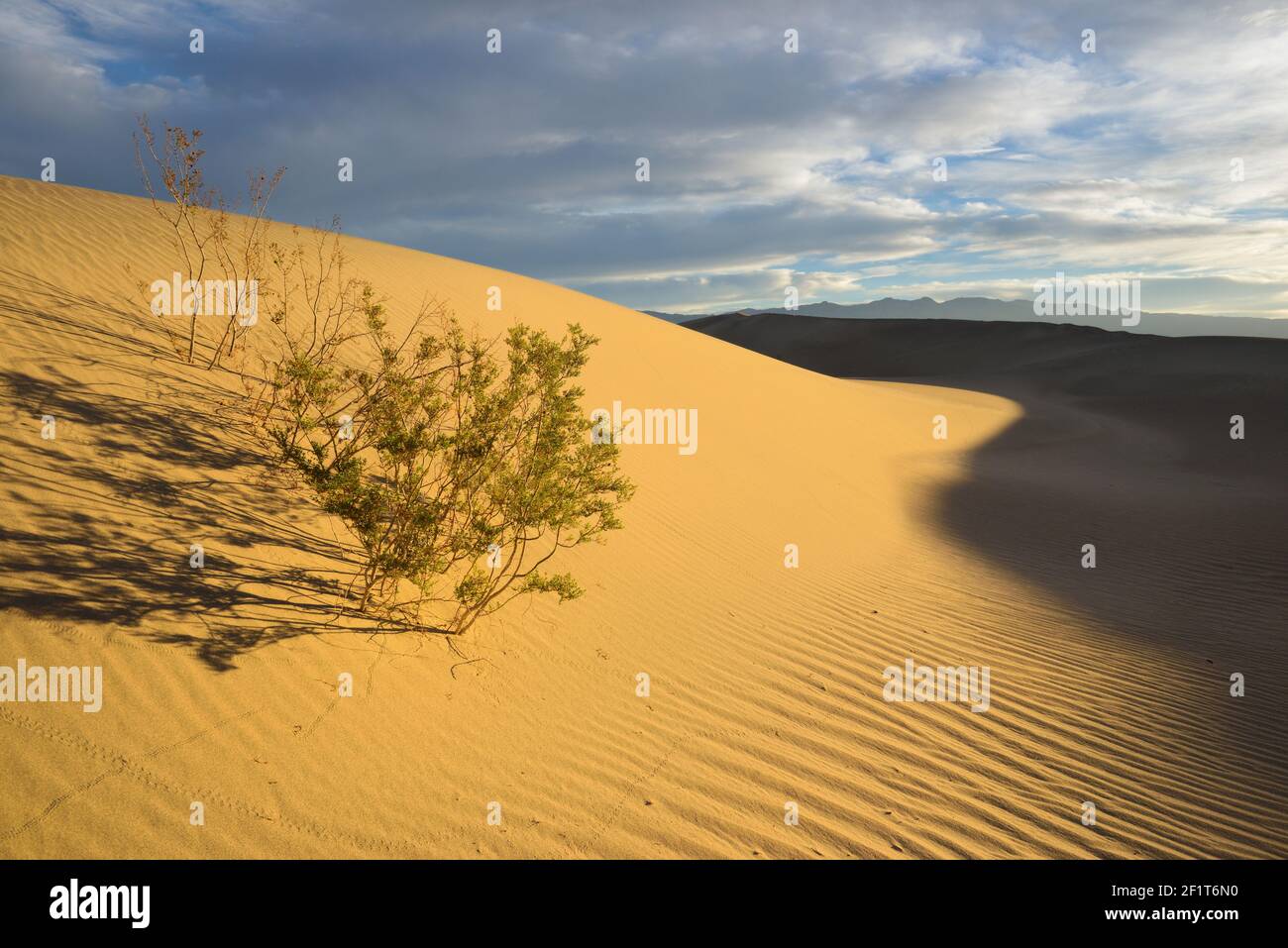 Mesquite Flat Sand Dunes,  Death Valley, California Stock Photo