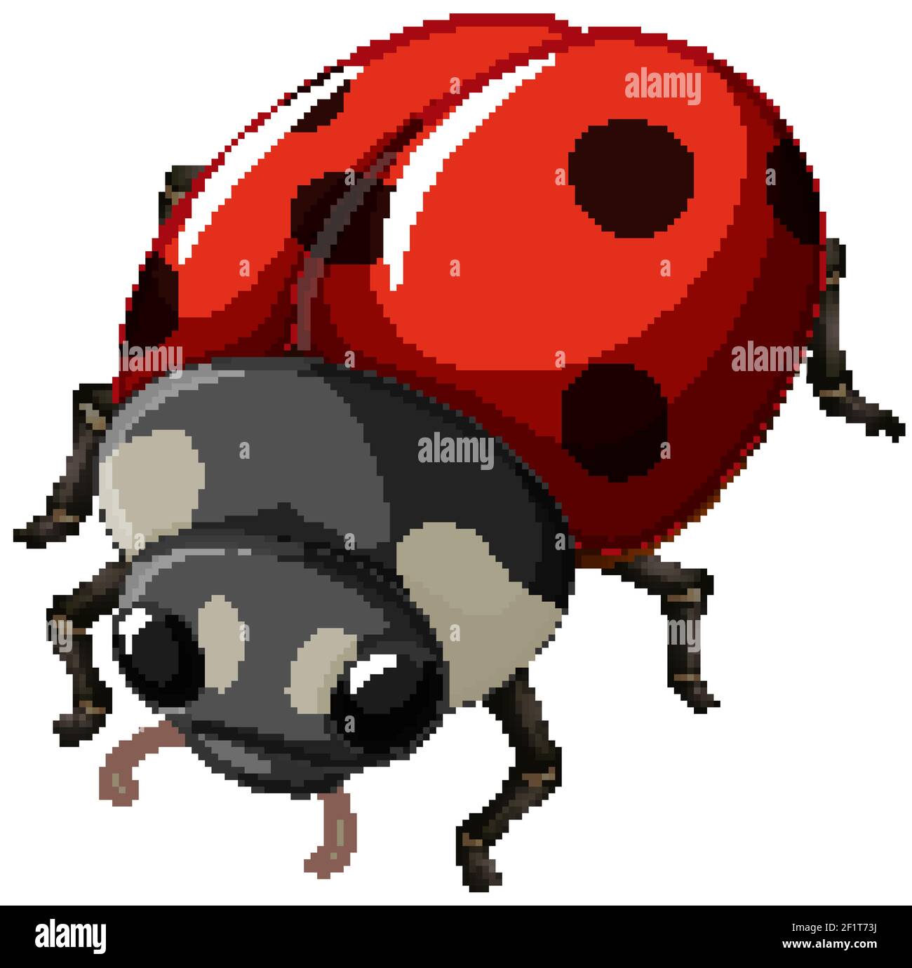 A ladybug insect on white background illustration Stock Vector