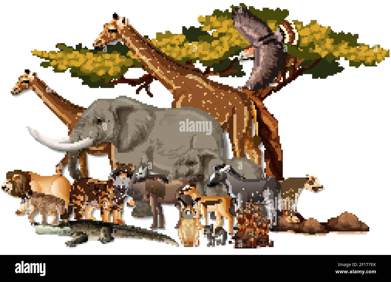 Group of wild African animals on white background illustration Stock ...