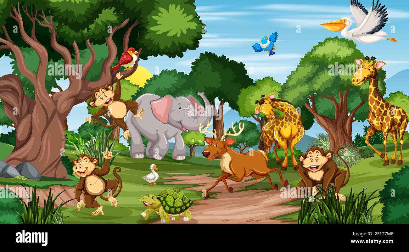 Wild animals in the jungle illustration Stock Vector Image & Art - Alamy