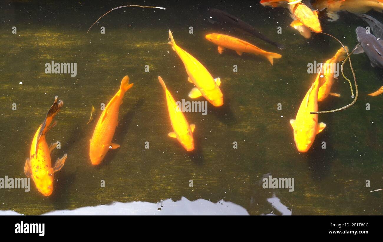 Visual idea from this collection
