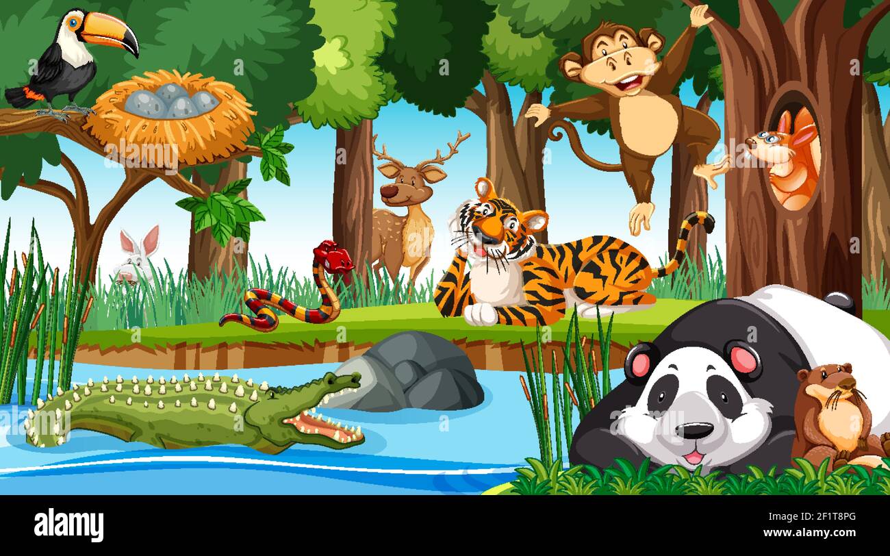 Wild animals in the jungle illustration Stock Vector Image & Art - Alamy
