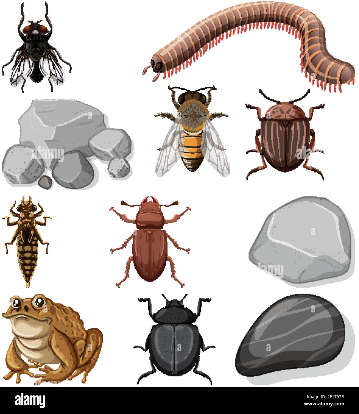 Different types of insect with nature elements illustration Stock ...