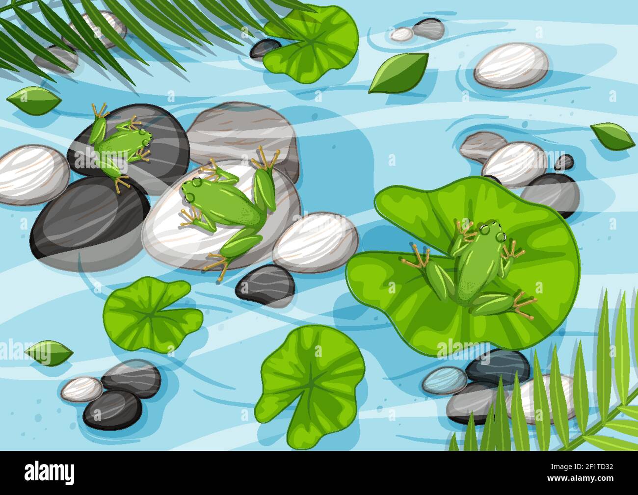 Aerial scene with frogs and lotus leaves in the pond illustration Stock ...