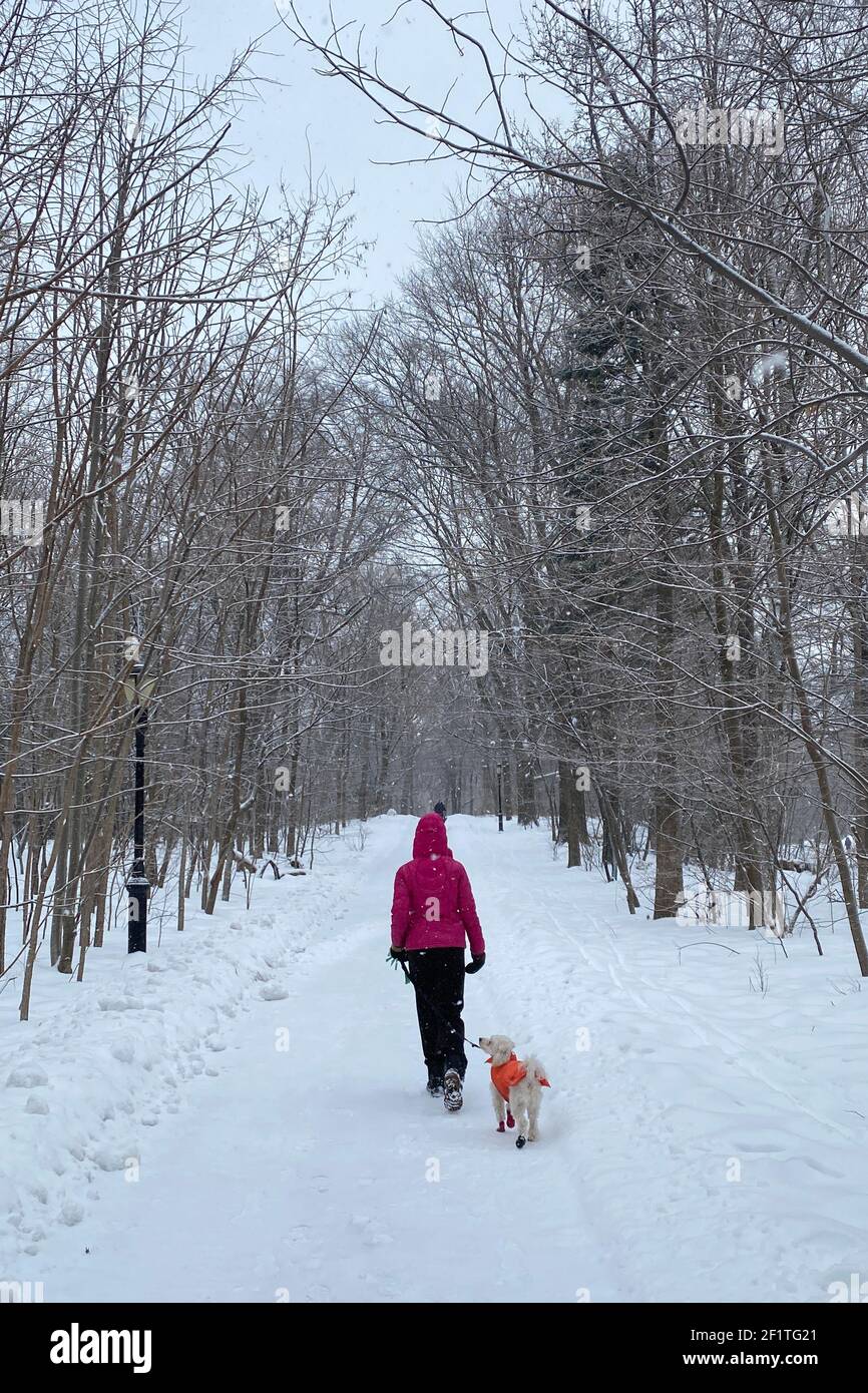 Woman walks her dog in Prospect Park after a heavy snow in Brooklyn