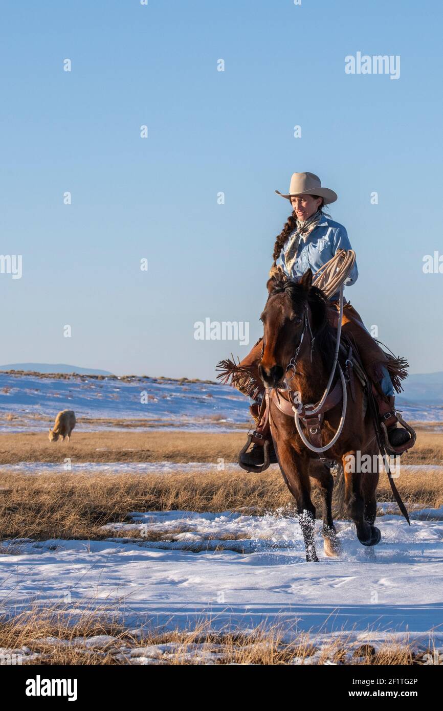 USA, Colorado, Custer County, Westcliffe, Music Meadows Ranch. Female