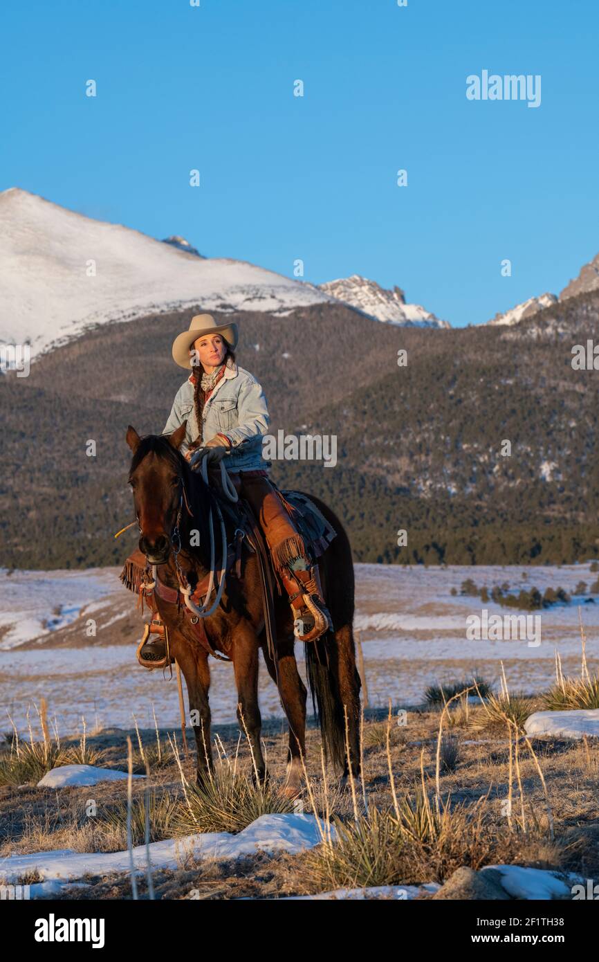 USA, Colorado, Westcliffe, Music Meadows Ranch. Female ranch hand in typical western ranch attire on bay horse in winter. Model Released. Stock Photo