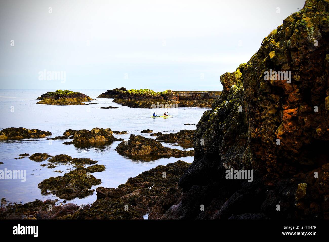 Two kayakers paddle through the North Sea, just off the coast of St Abbs Stock Photo
