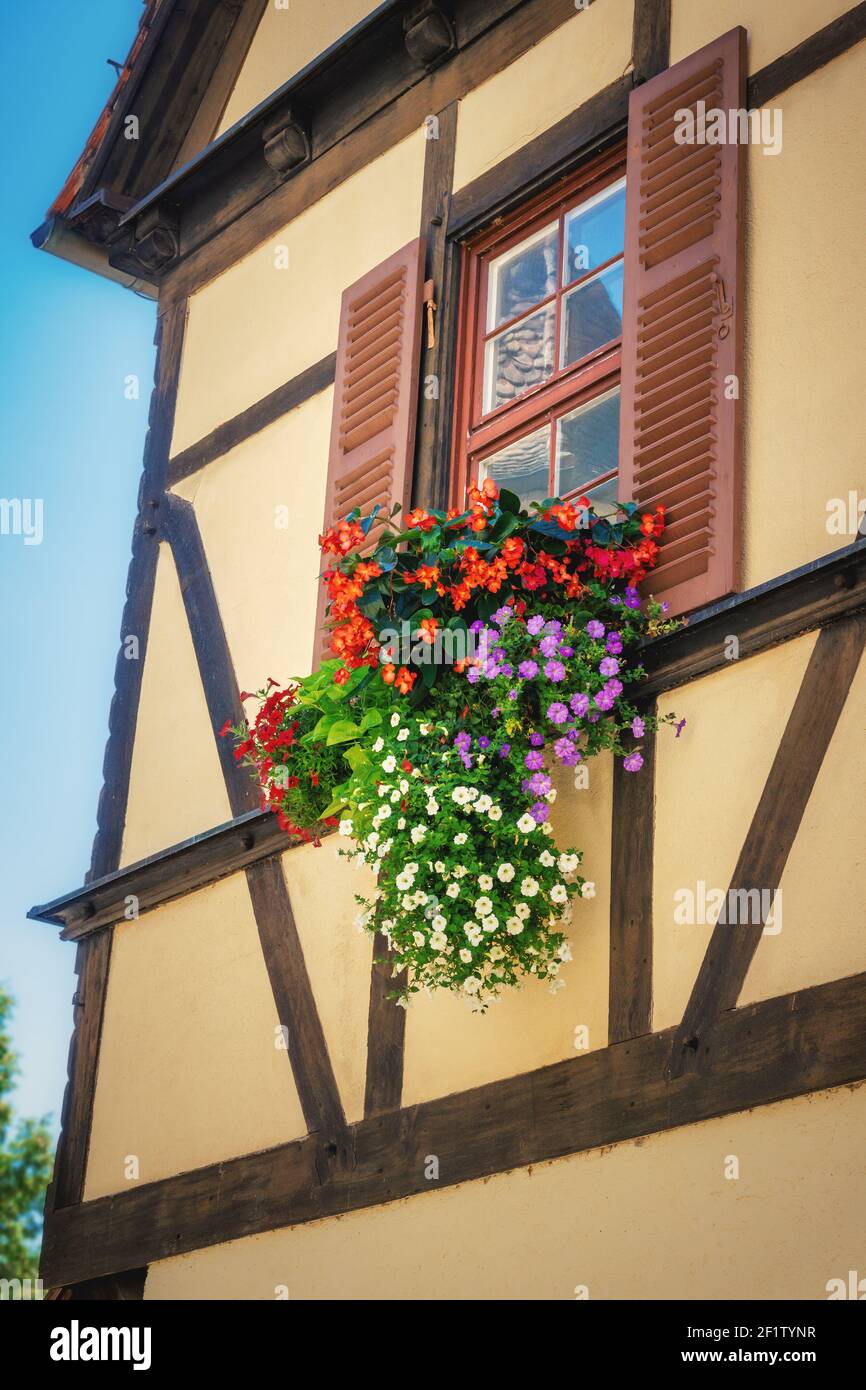 Flowers at a half-timbered house window Stock Photo - Alamy