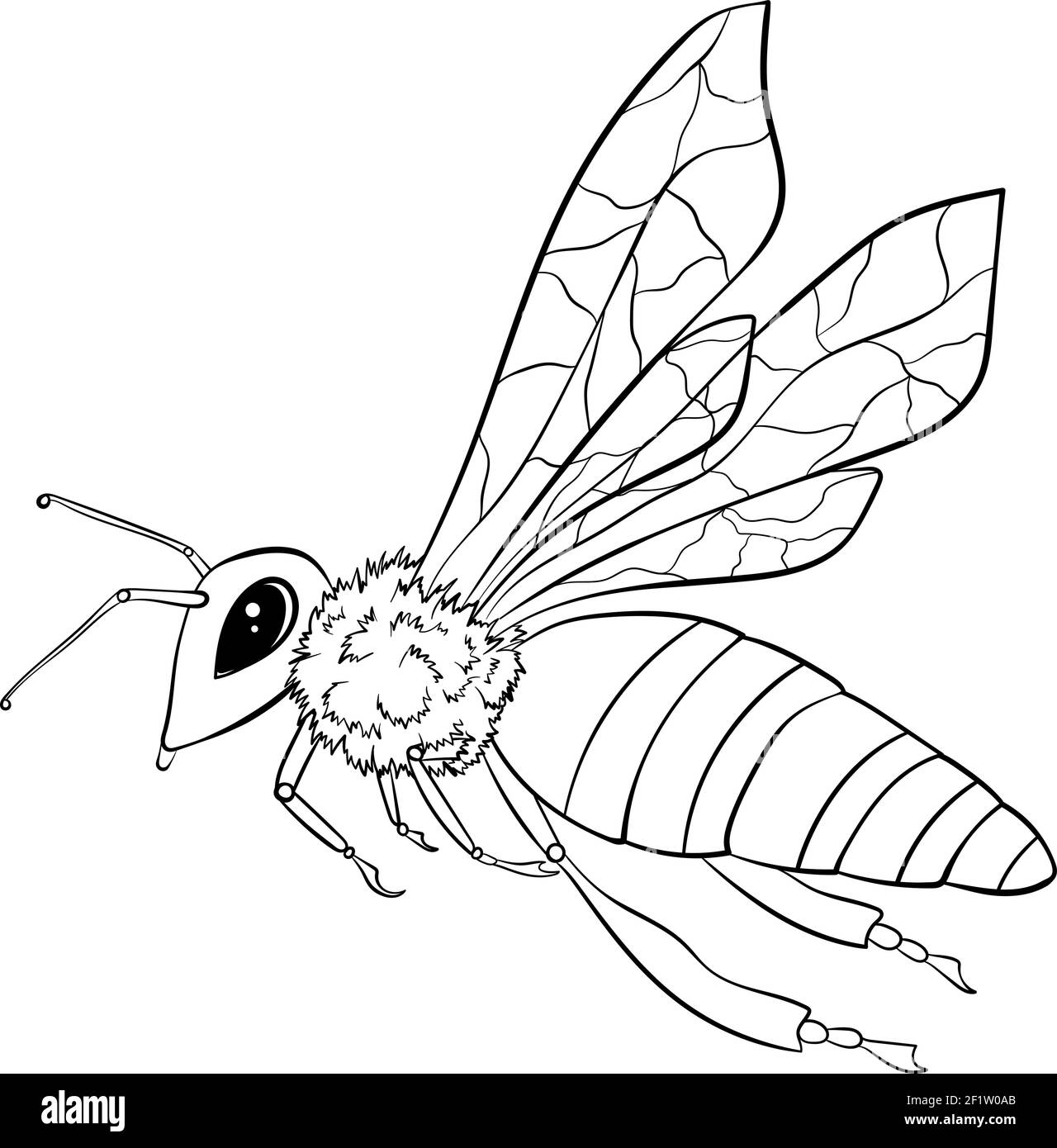 Honey bee cartoon coloring book hi-res stock photography and images - Alamy