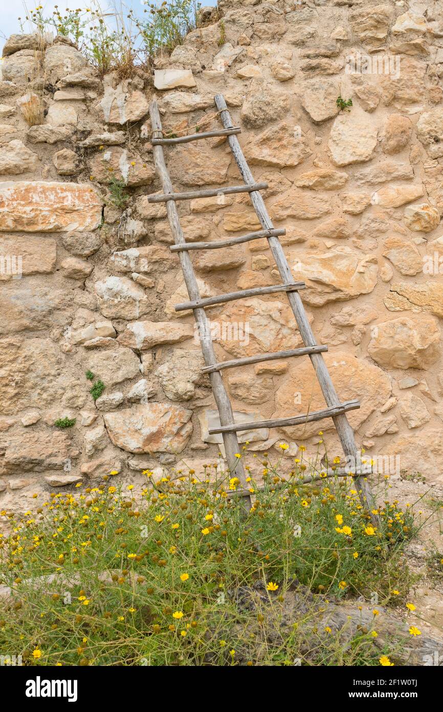 Replica of Ancient Wooden Ladder Stock Photo