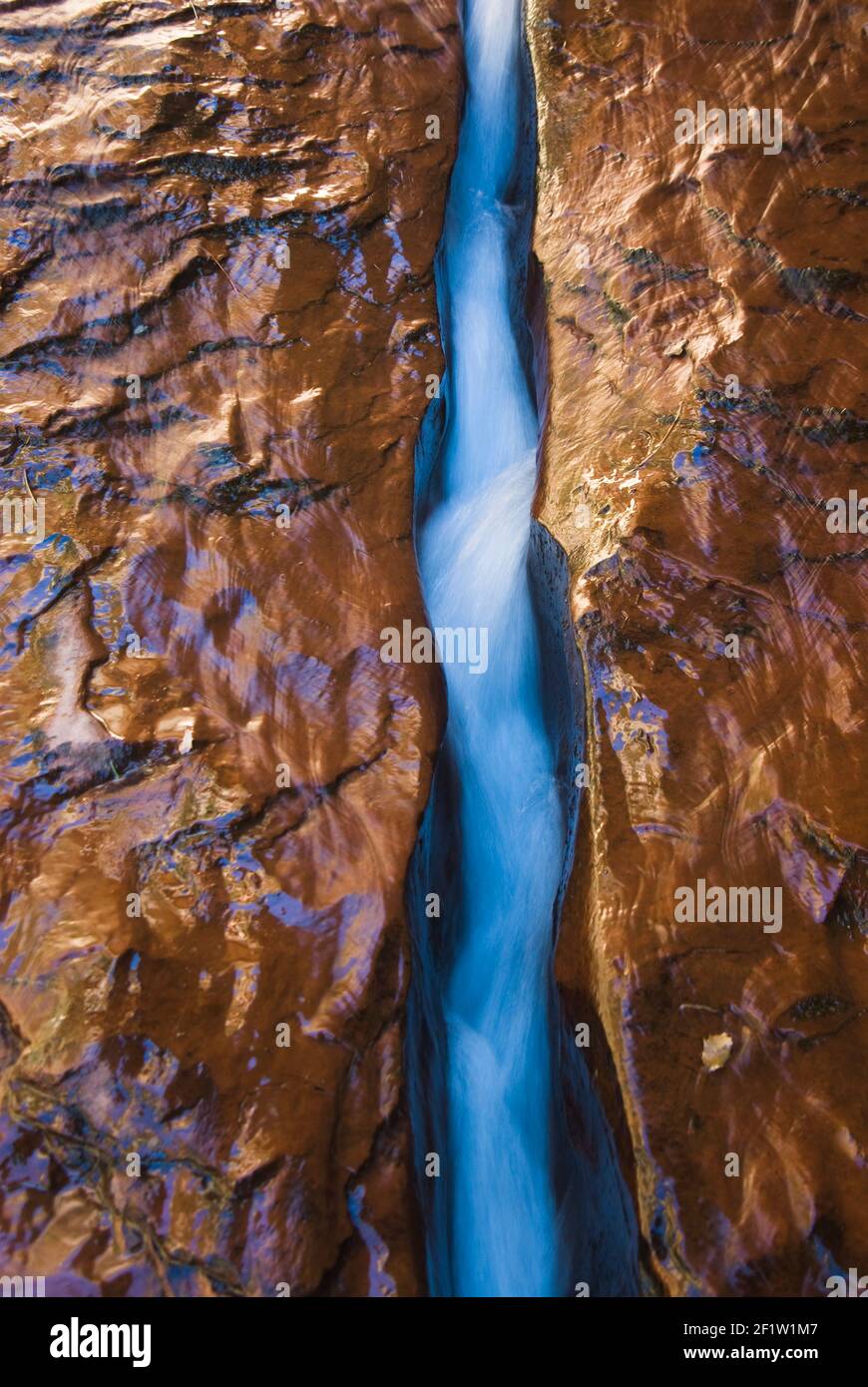 tiny creek runs between two sandstone blocks in the slot canyon formed by the Left Fork of North Creek in Zion National Park, Utah, USA Stock Photo