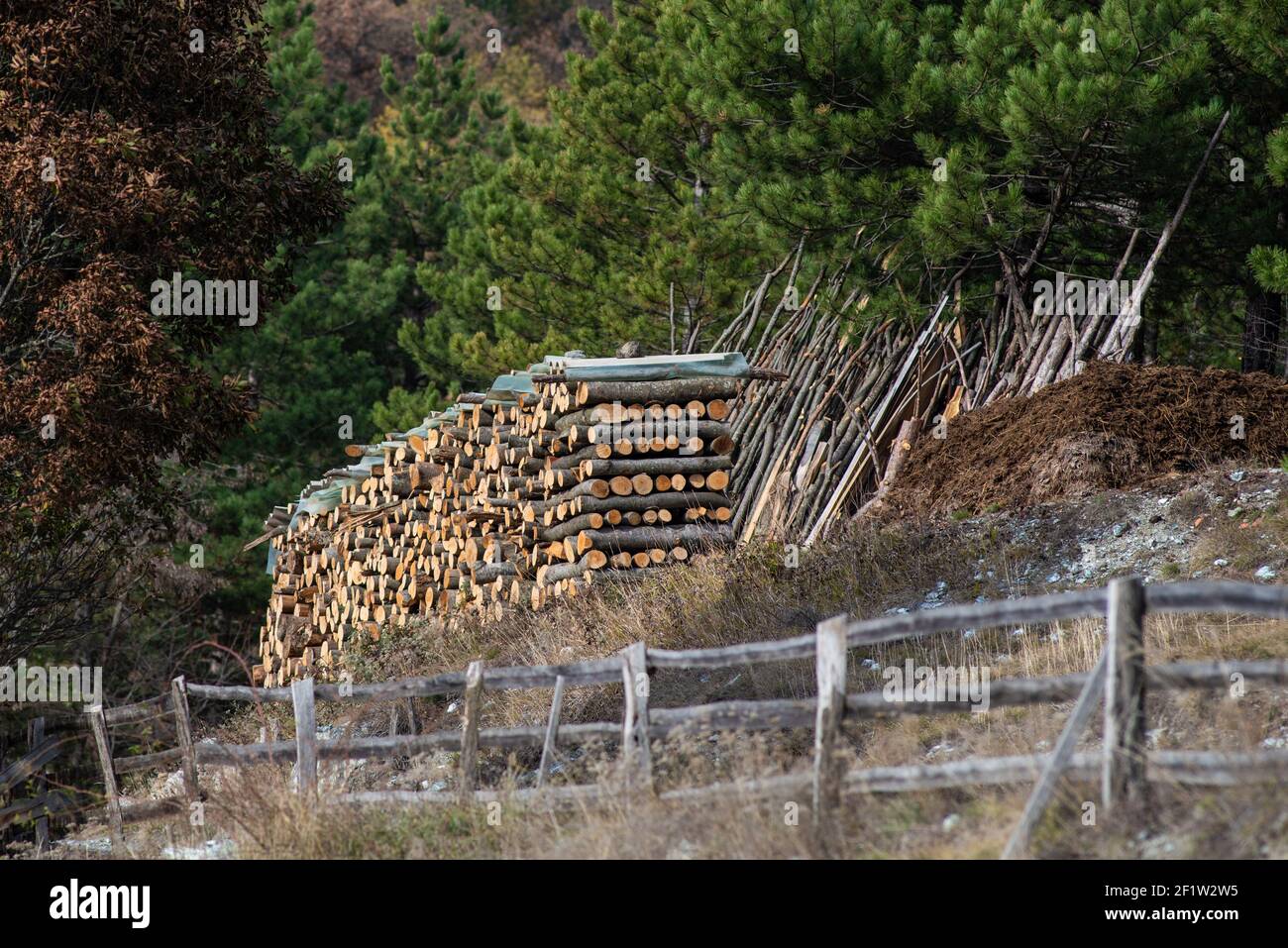 Firewood logs prepared for cold winter days Stock Photo
