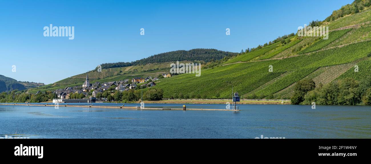 River lock and village of Enkirch in the Mosel Valley with vineyards on the hillsides Stock Photo