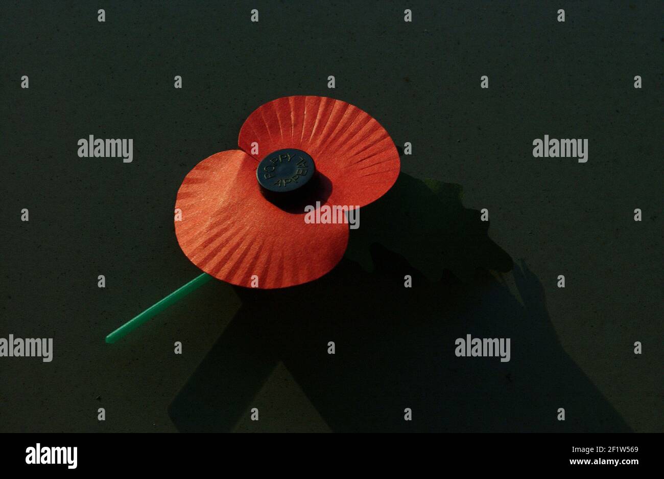 REMEMBRANCE DAY POPPY Stock Photo - Alamy