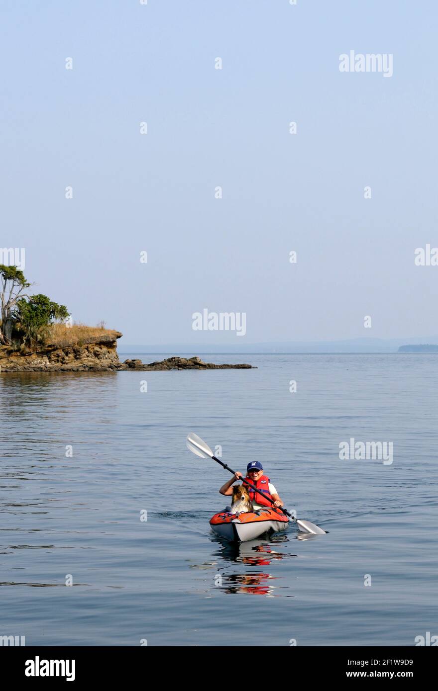 Woman kayaking with a dog in Princess Bay, Portland Island, British ...