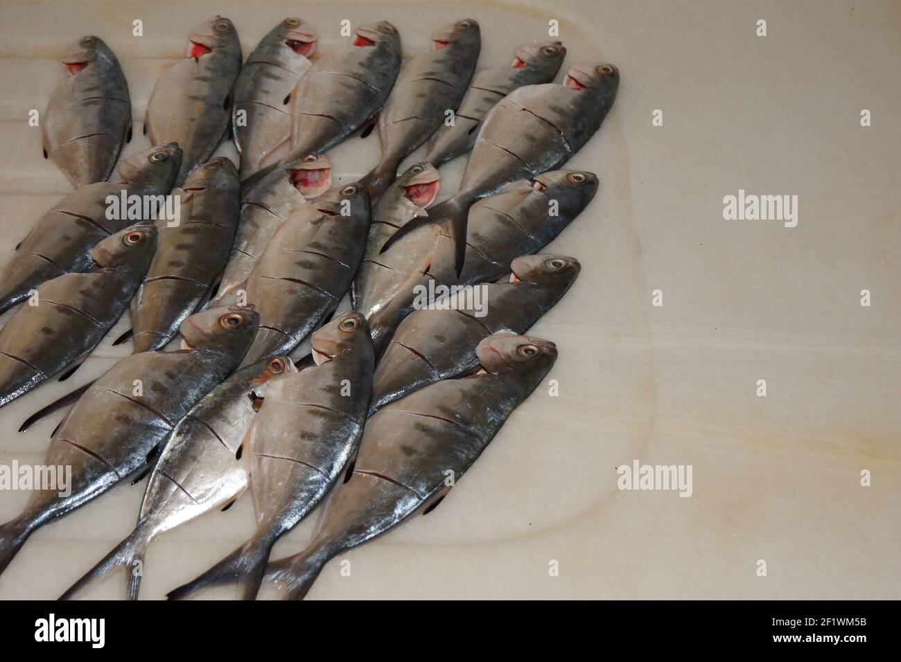Leerfish (Lichia amia) cleaned and prepared for cooking on marble Stock Photo