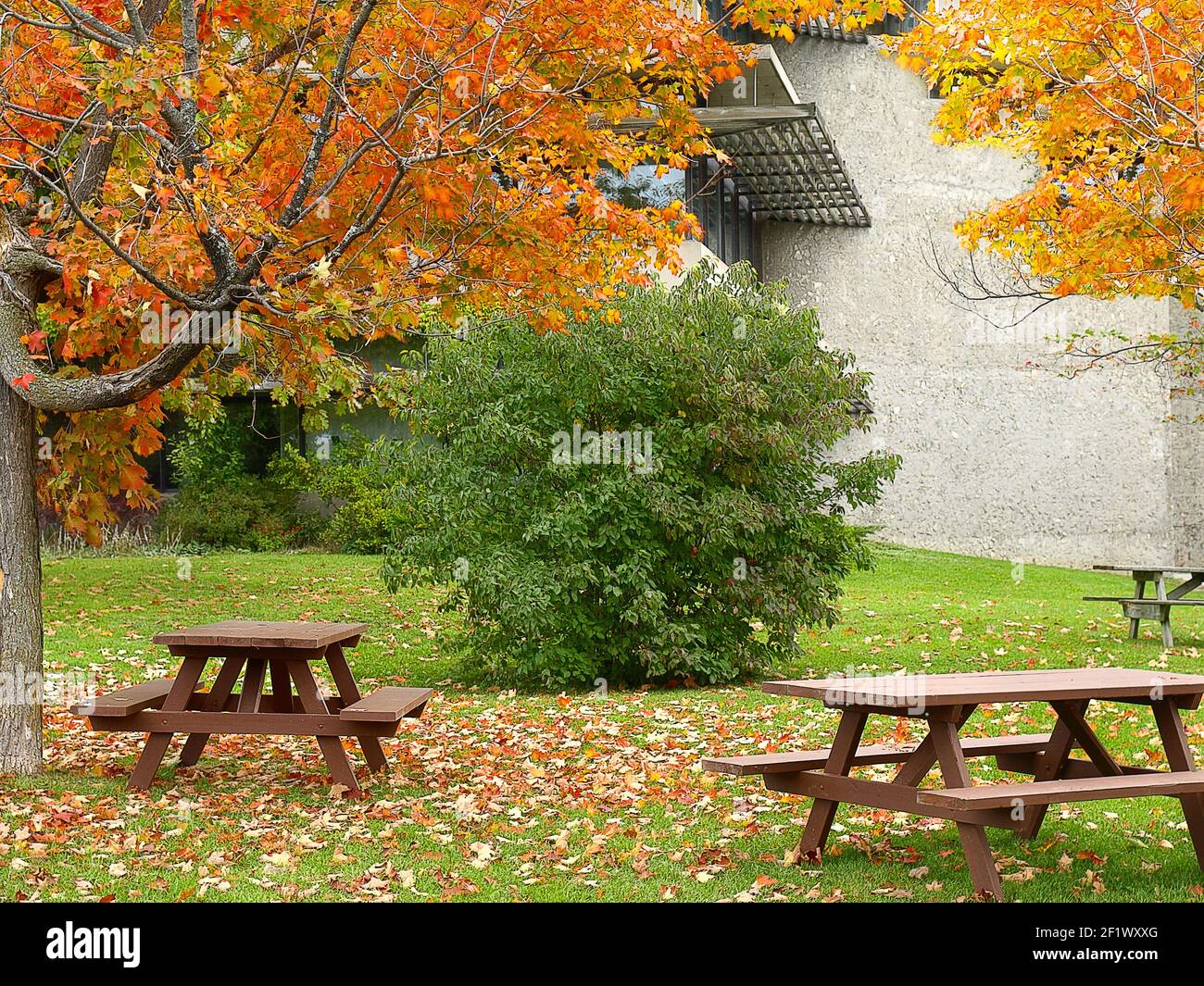 Squirrel picnic table hi-res stock photography and images - Alamy