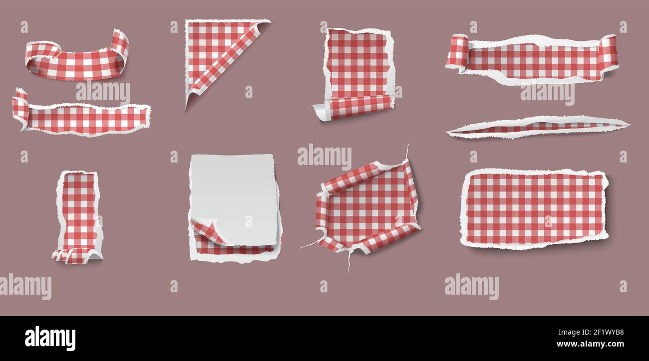Colorful torn and ragged paper set of different shapes with gingham tablecloth pattern isolated