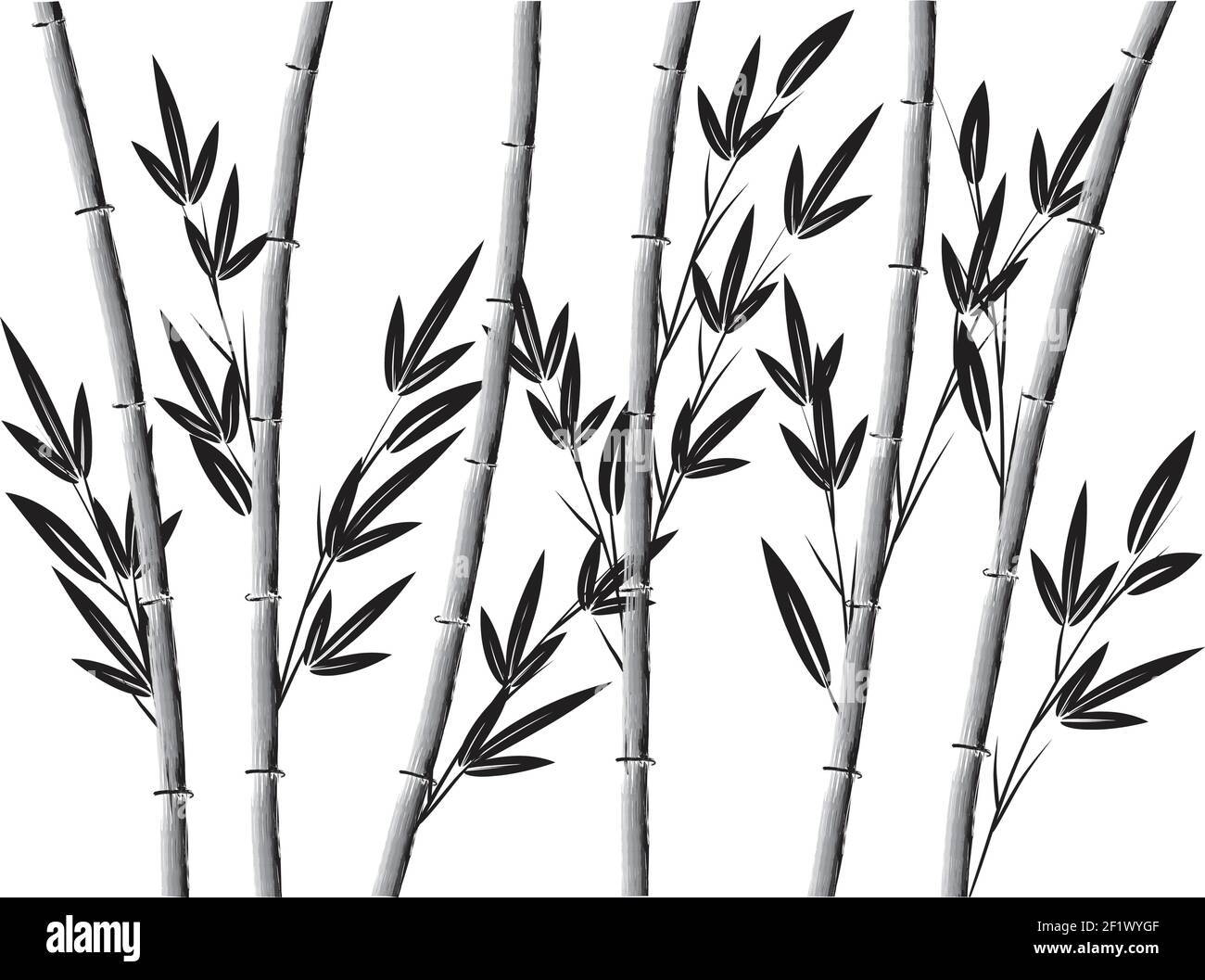 Bamboo design background Stock Vector Image & Art - Alamy