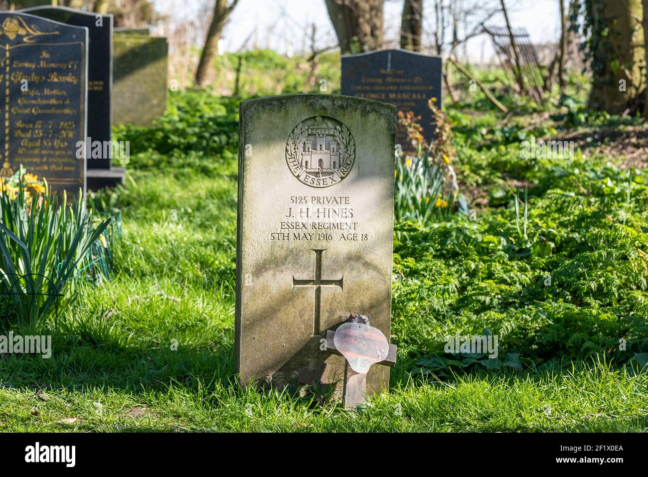 Military headstone in St Mary & All Saints church churchyard, Stambridge, Essex, UK. Private JH Hines, The Essex Regiment, British Army. Died 1916 Stock Photo