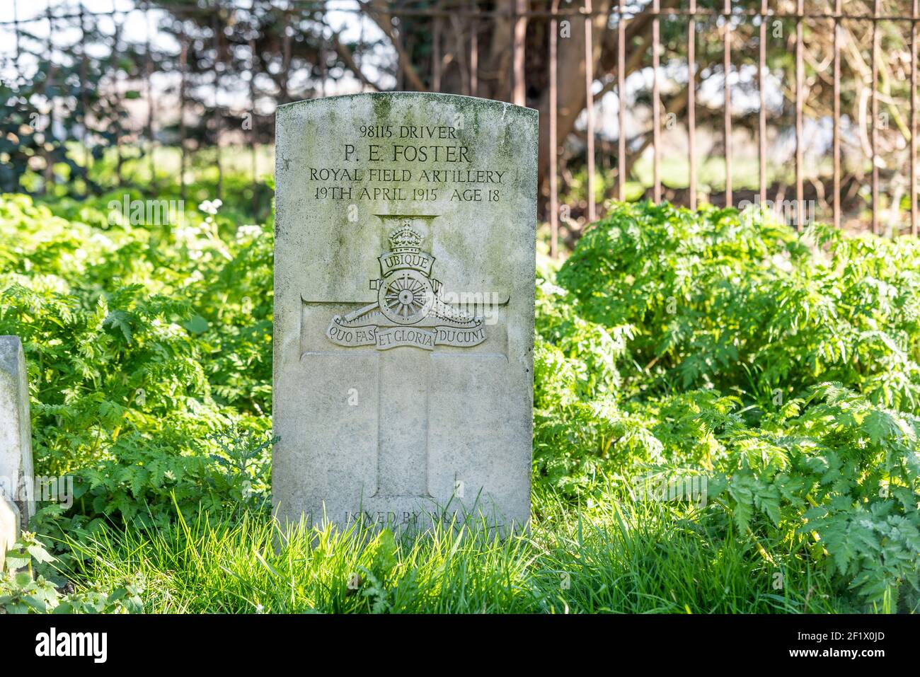 Military headstone in St Mary & All Saints church churchyard, Stambridge, Essex, UK. Driver PE Foster, Royal Field Artillery, British Army. Died 1915 Stock Photo