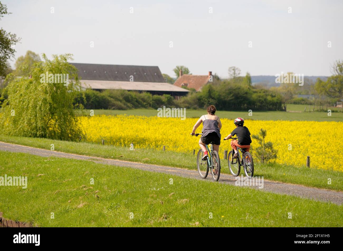 Cycling along the Canal latéral à la Loire in front of farm land and
