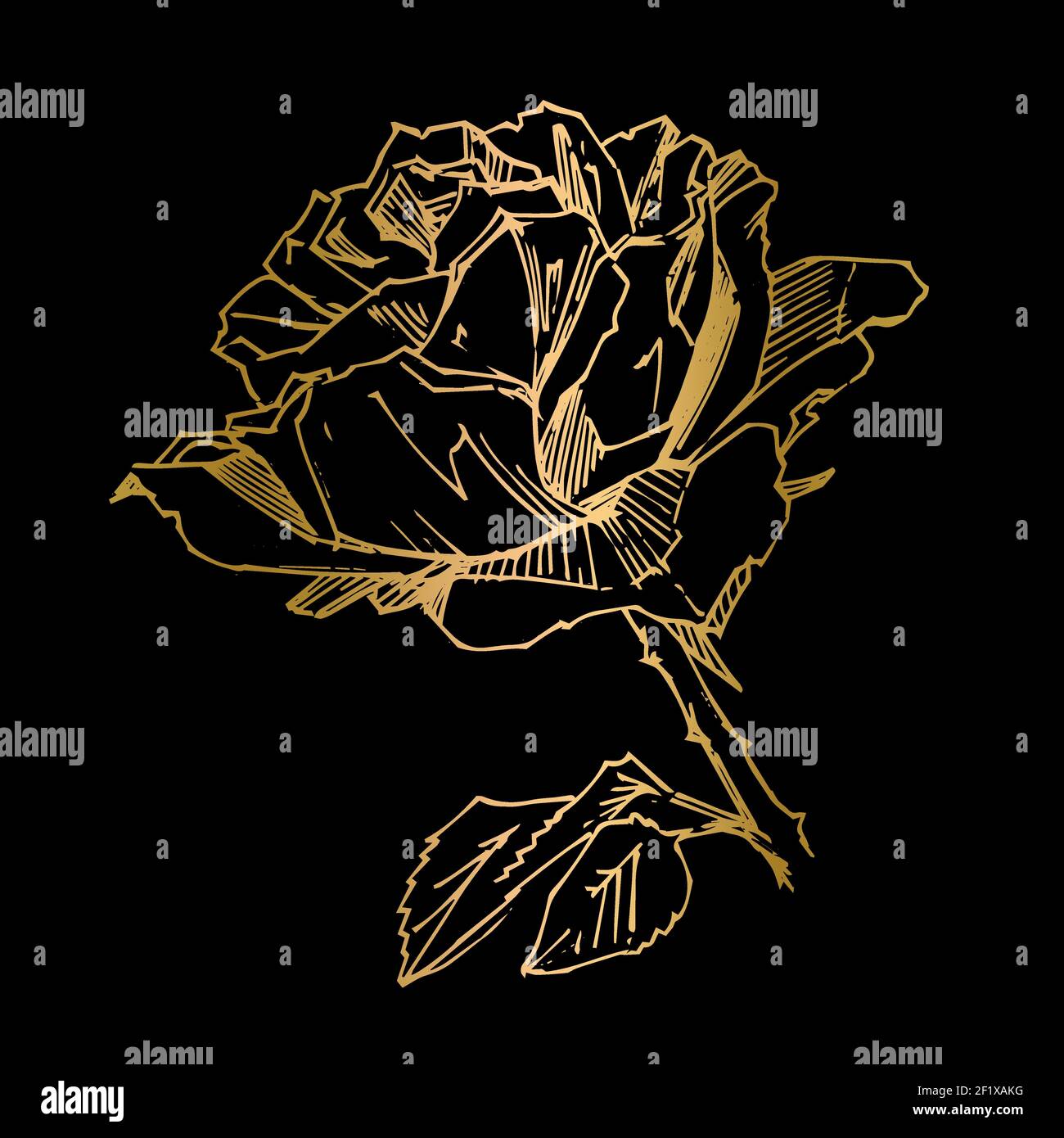 Hand drawn rose. Vector illustration. Vintage tattoo style rose. Flower ...