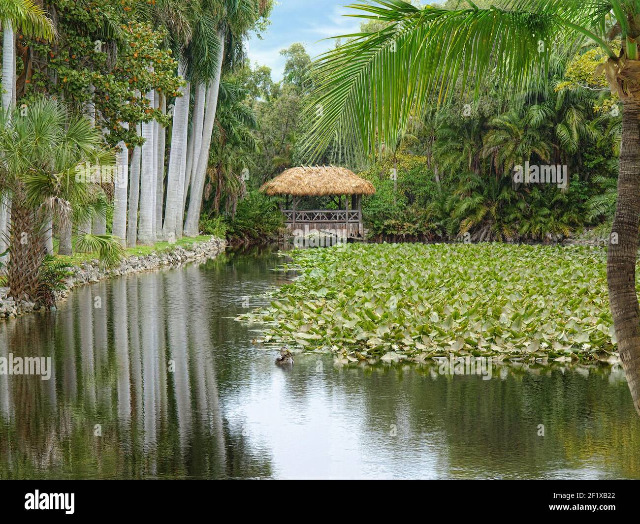 Royal park bridge florida hi-res stock photography and images - Alamy