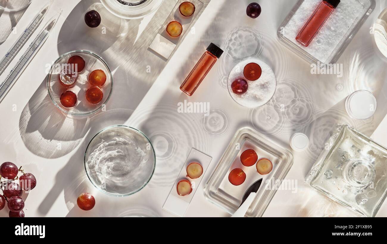 Cosmetic skincare background with red grapes. Abstract white flat lay ...