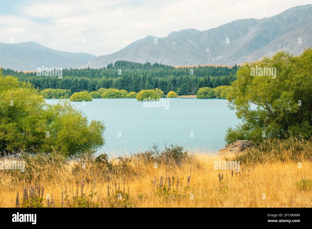 Lake Tekapo in New Zealand Stock Photo - Alamy