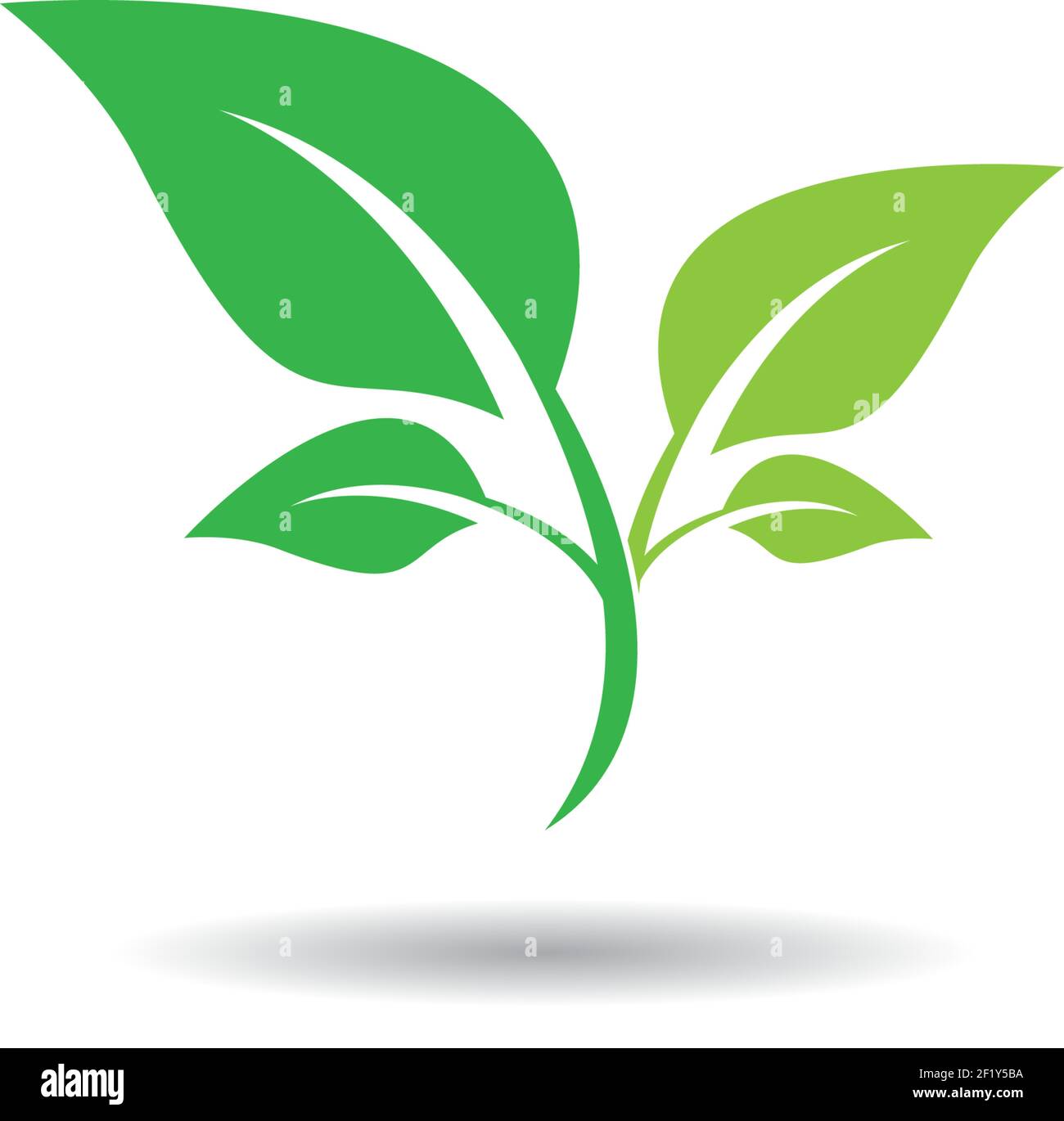 Logos of green leaf ecology nature element vector icon Stock Vector ...