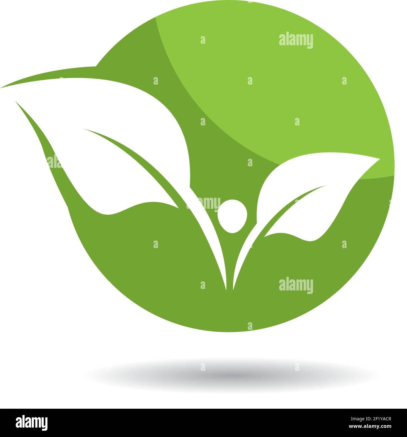 Logos of green leaf ecology nature element vector icon Stock Vector ...