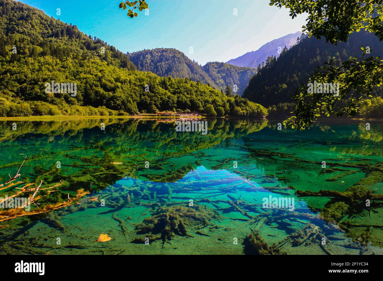 Five Flower Lake In Jiuzhaigou National Park North Of Sichuan Province