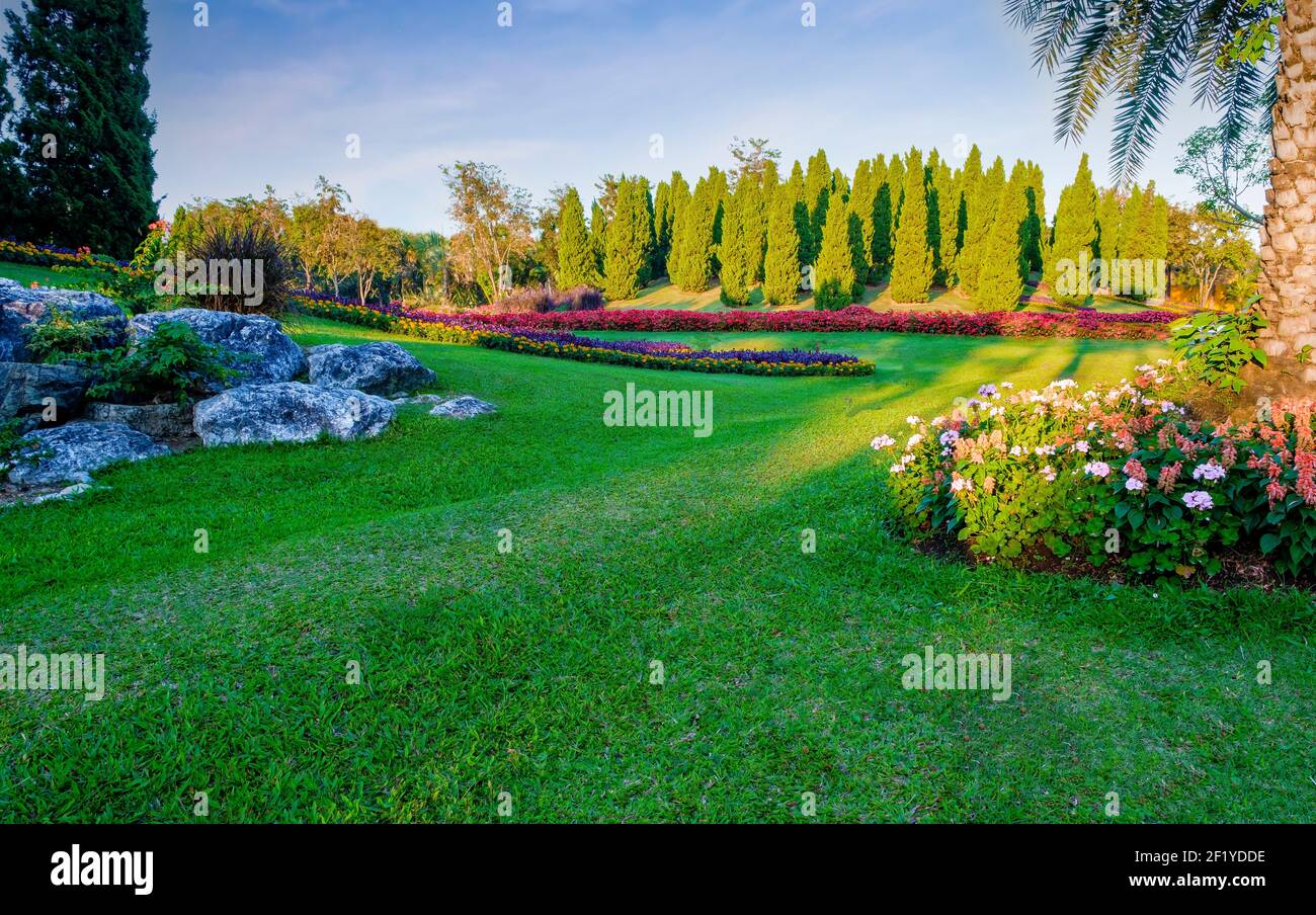 Beautiful green lawn and meadow with trees and colorful flowers in the ...