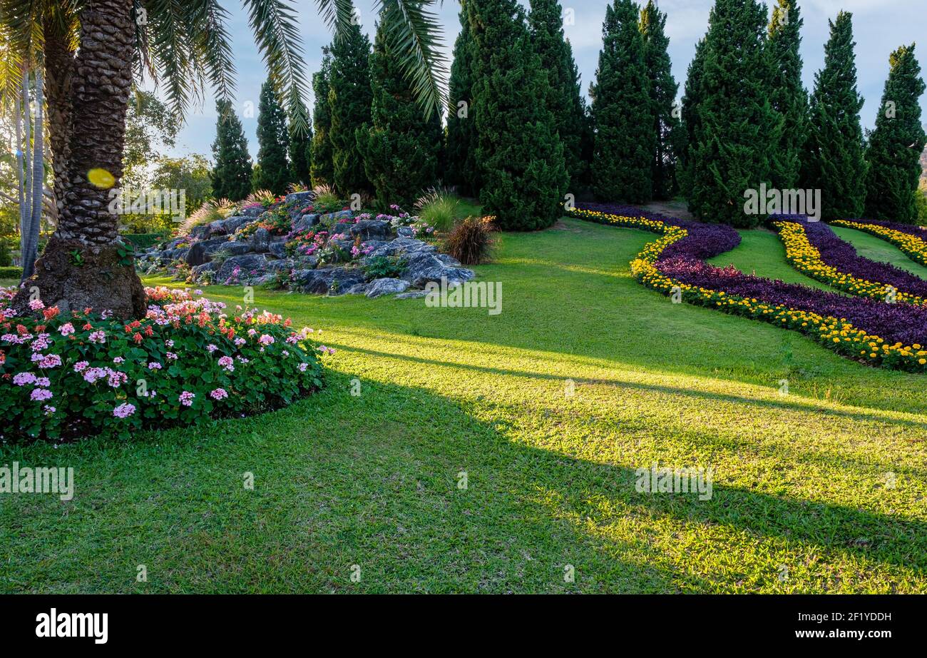 Beautiful green lawn and meadow with green trees and flowers in the ...