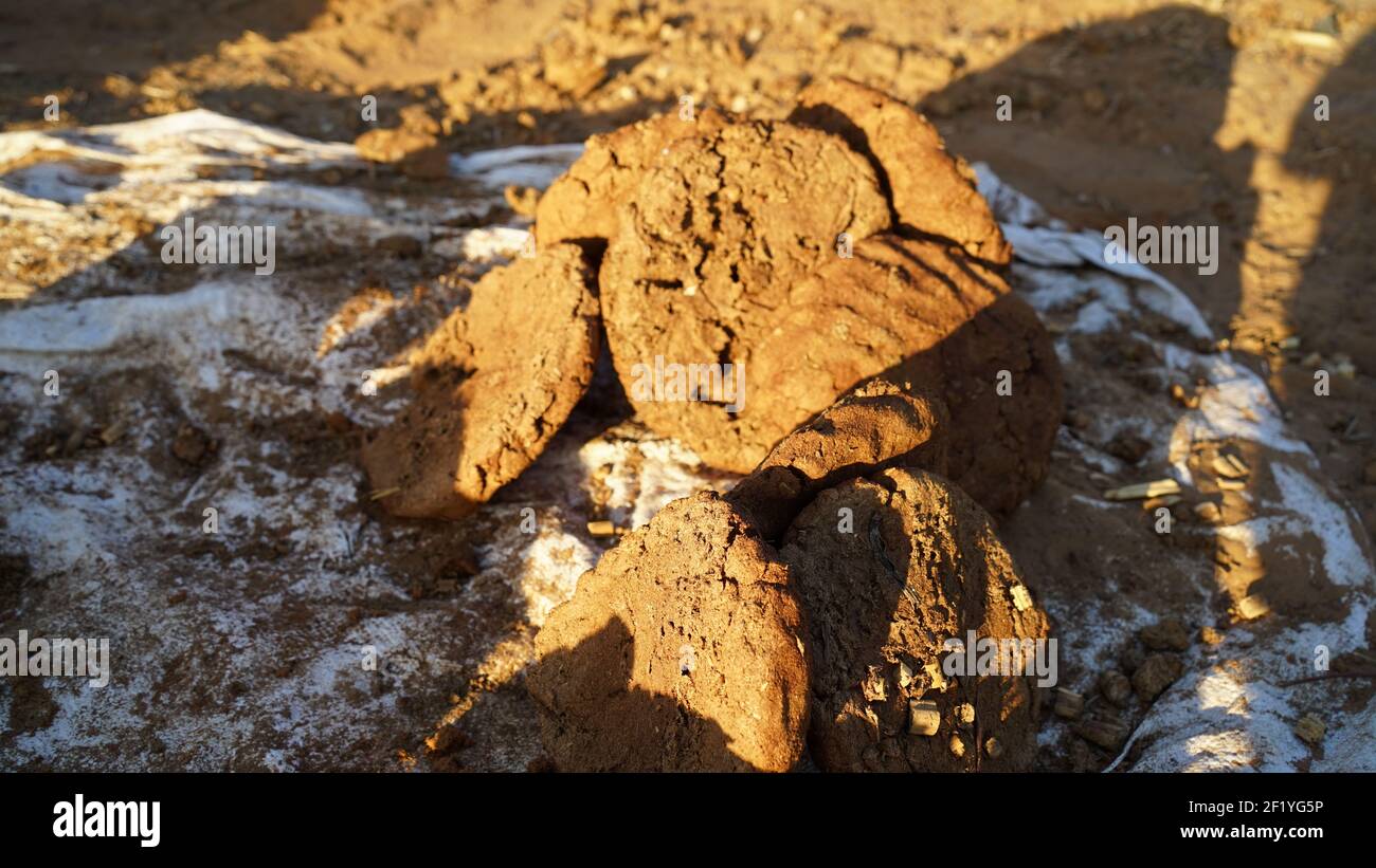 Pile of dried cow dung hi-res stock photography and images - Alamy