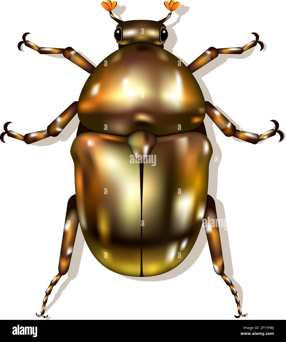 Vector shiny bronze Beetle isolated on white. EPS10 opacity Stock Vector