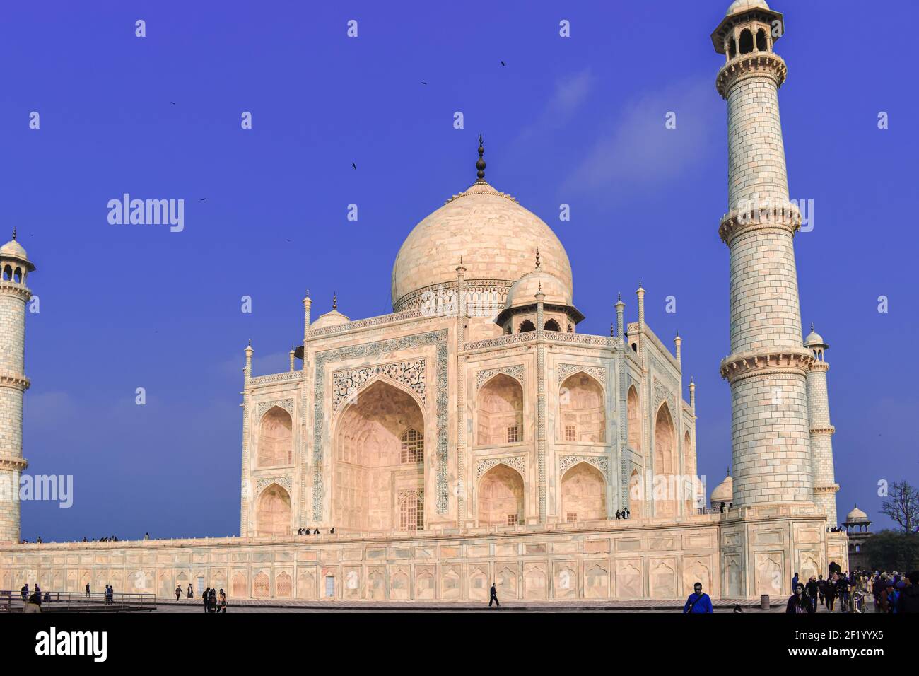 Architecture, Design & Landscape of various forts in Rajasthan, India ...