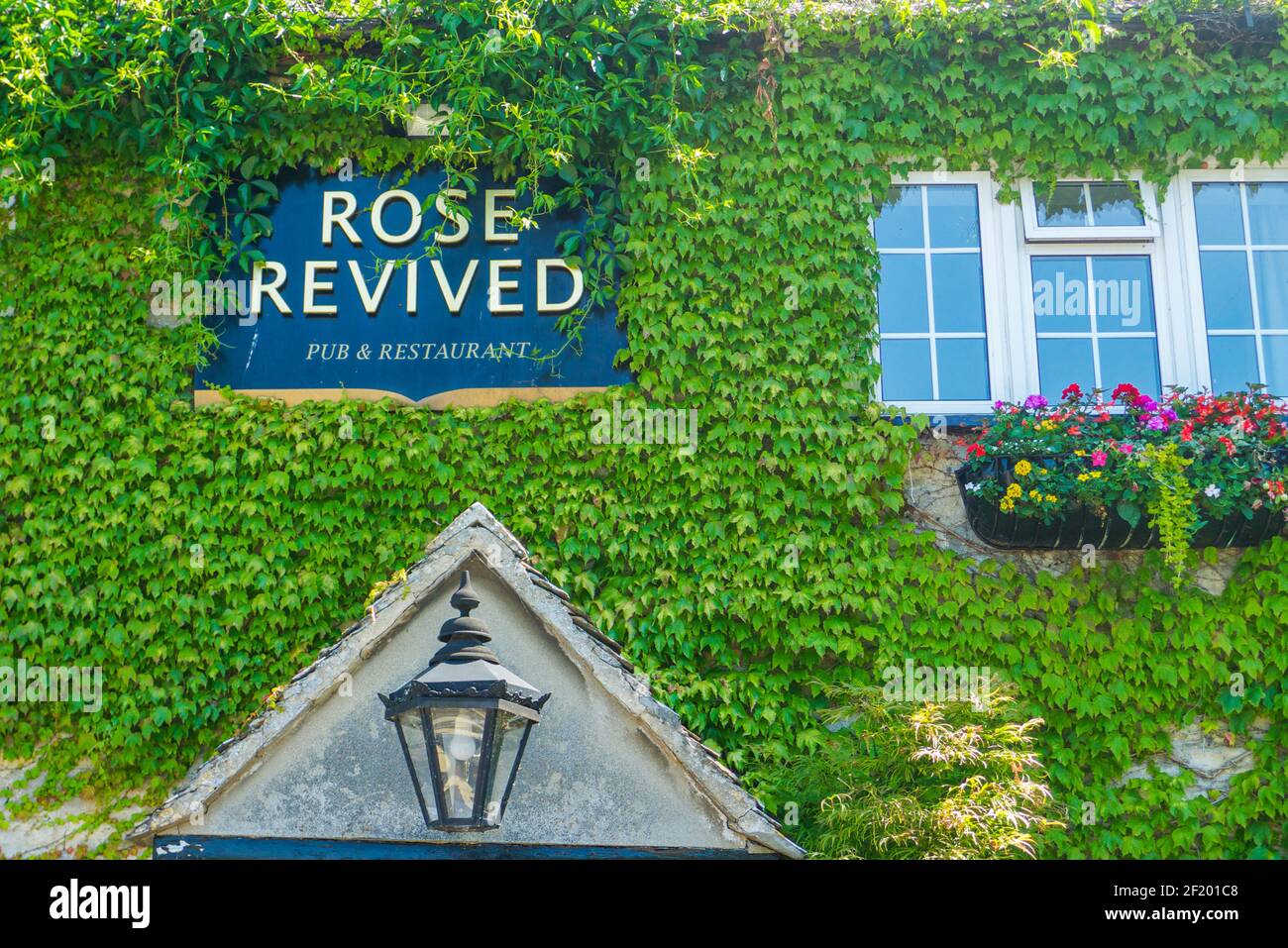 The rose revived newbridge hires stock photography and images Alamy